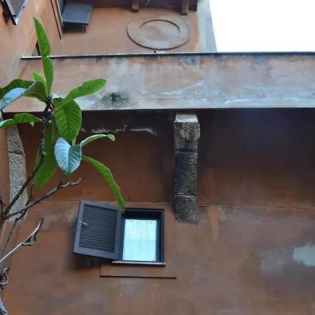 Palazzo Velli *